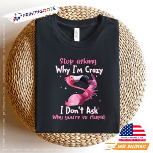 I Don't Ask Why You're So Stupid flamingo t shirt 1