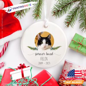 Customized Cat Meow Christmas Ornament No.1