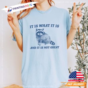 It Is What It Is And It Is Not Great, Raccoon Meme T Shirt 2