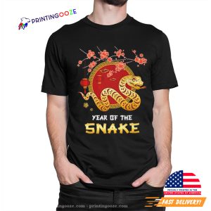 Lunar New Year Chinese 2025 T shirt 1