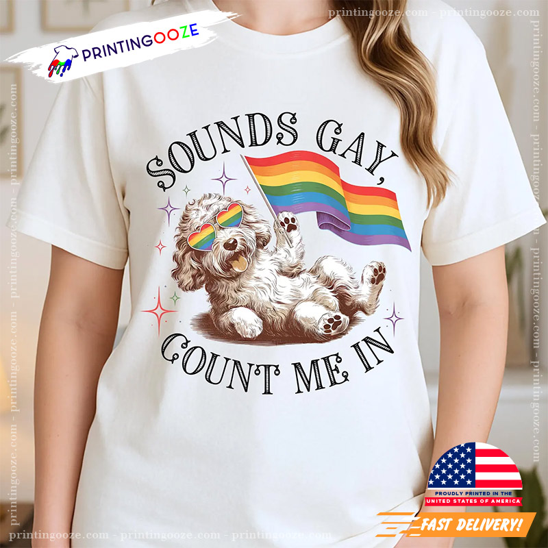 Sounds Gay Count Me In LGBTQ Pride Tee Sounds Gay Count Me In LGBTQ Pride Tee